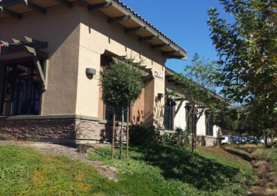 A tree in front of a building.